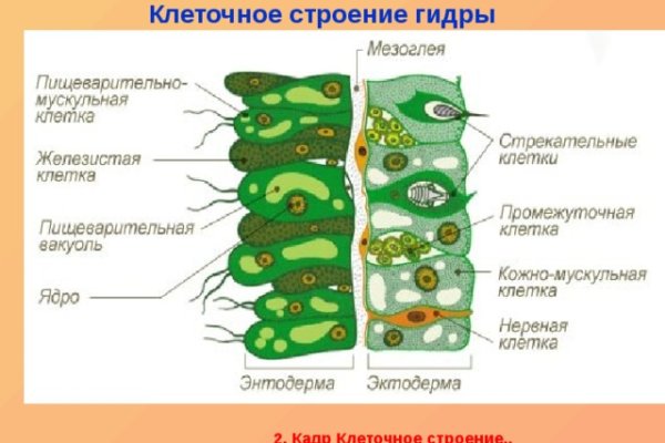 Сайт кракена в торе