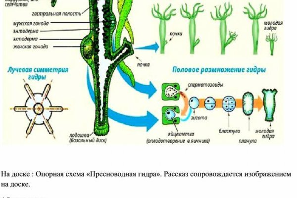 Что такое кракен плейс